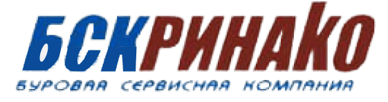 Ринако — клиент компании «Синий Шар»